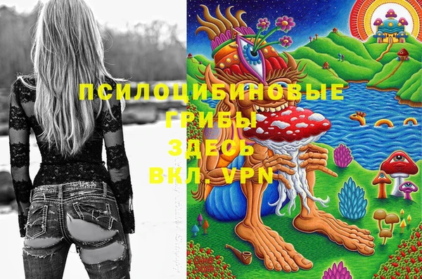 первитин Алексеевка
