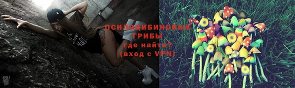 гидропоника Алексин