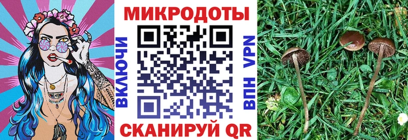 как найти закладки  Киржач  hydra ссылка  Галлюциногенные грибы ЛСД 